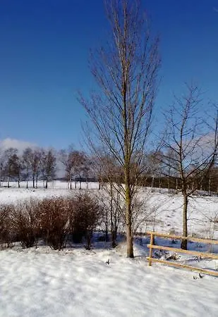 Asgard * Hasselfelde