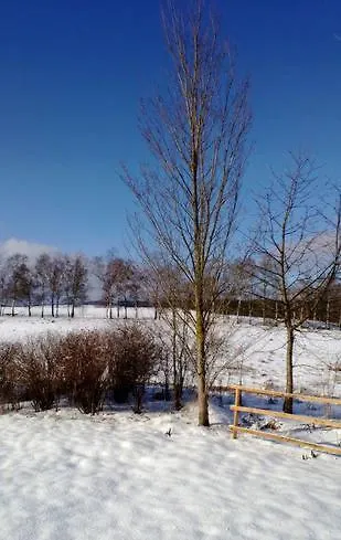 Asgard * Hasselfelde